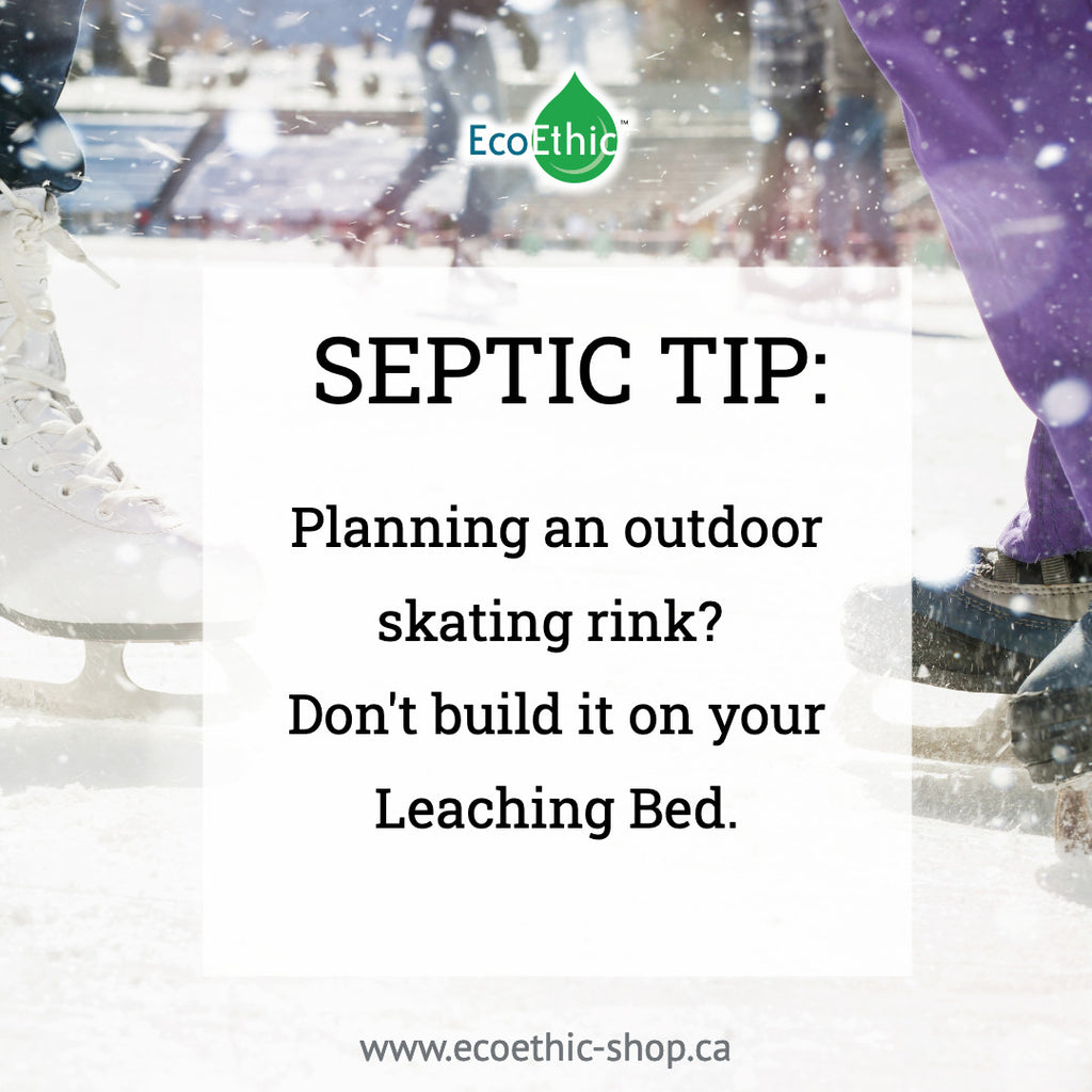 Septic Tip:  Skating Rink... not on your leaching bed.